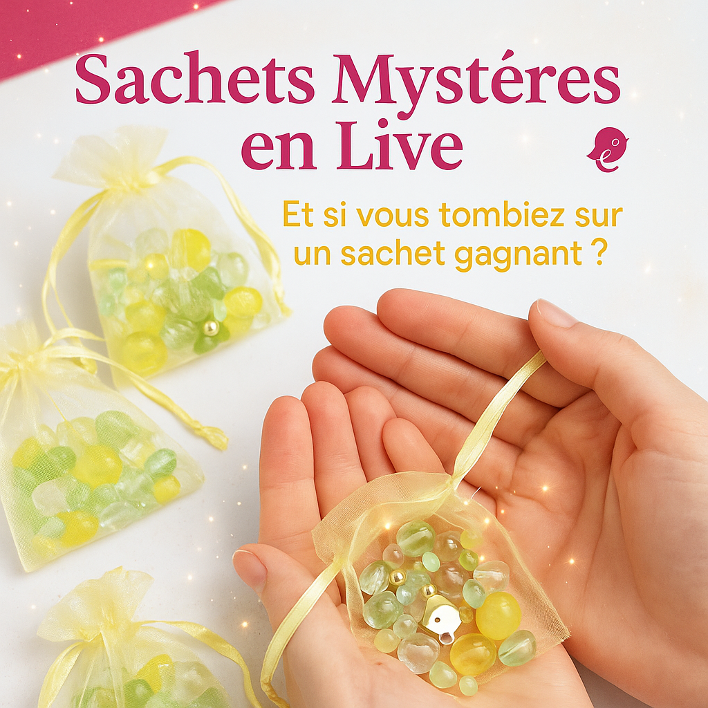 🎁 Les coulisses des sachets mystères ouverts en live : entre surprise, partage et magie