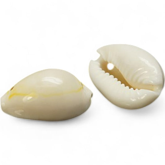 x10 Pendentifs Coquillages Naturels – Blanc