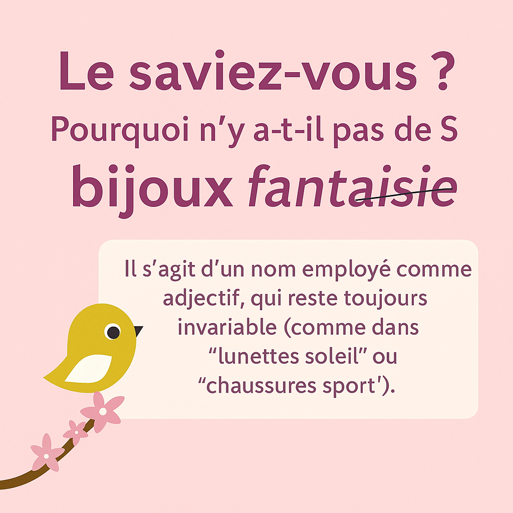 💡 Le saviez-vous ? Pourquoi n’y a-t-il pas de « S » à fantaisie dans l’expression bijoux fantaisie ?