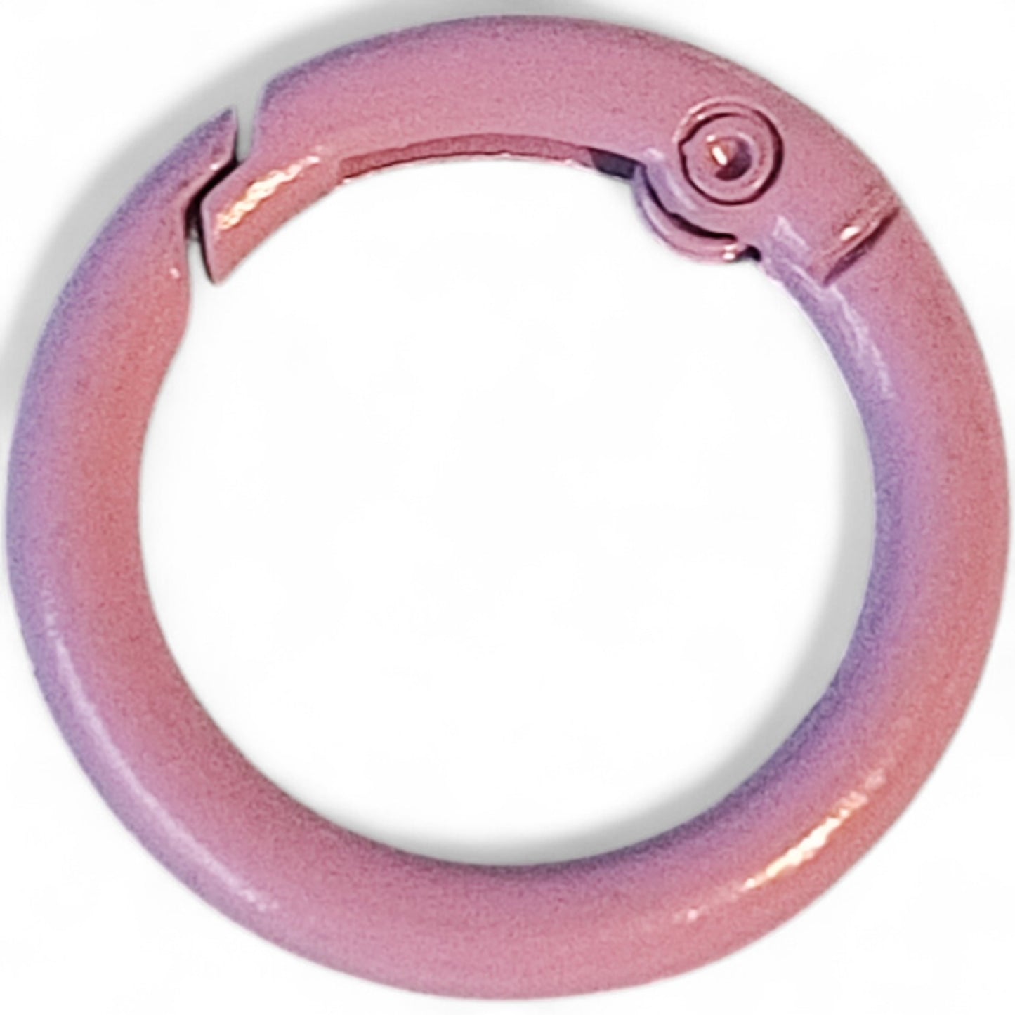 Anneau Fermoir de Porte-Clés à Ressort – Ø23 mm