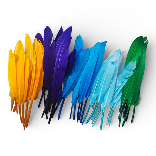 Lot de 10 plumes véritables teintées – 12 à 14 cm