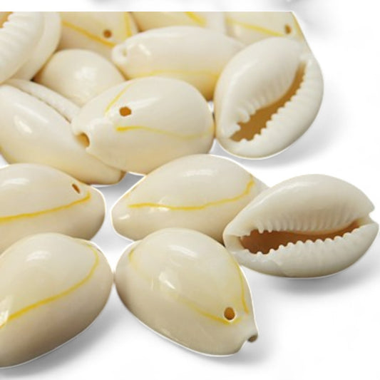 x10 Pendentifs Coquillages Naturels – Blanc