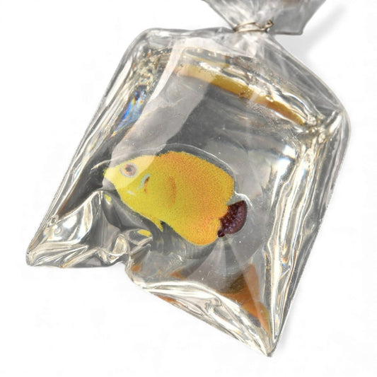 x1 Pendentif Poisson en Résine 3D – Jaune ou Bleu – 48 à 51 mm