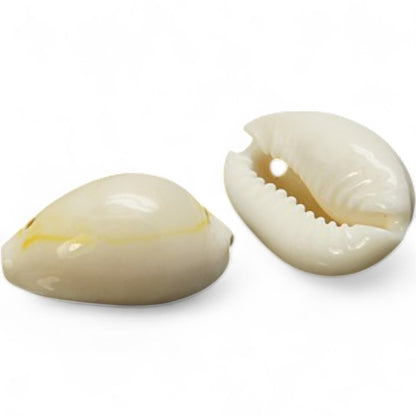 x10 Pendentifs Coquillages Naturels – Blanc